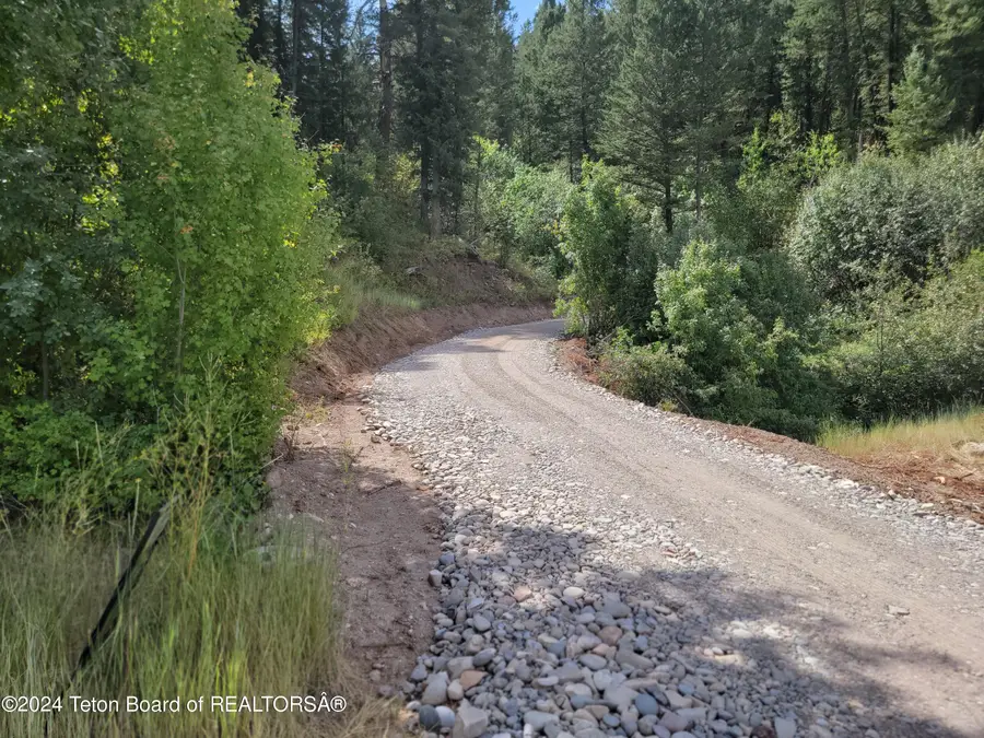 LOT31-32B1 Cutthroat Run, Irwin, ID 83428 - #3