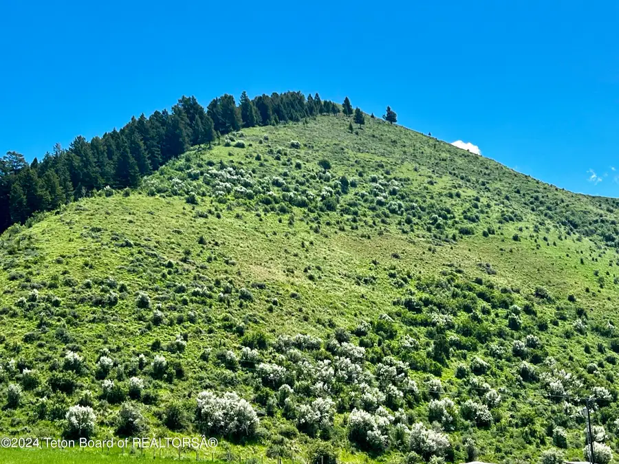 LOT 11 Haderlie 5th Addition, Afton, WY 83110 - #3