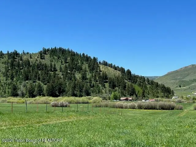 5000 Fairview Spg Crk Road, Afton, WY 83110 - #2