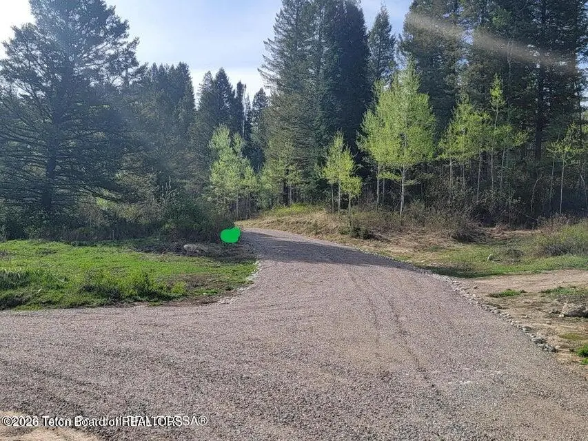 L39B4 Cutthroat Run, Irwin, ID 83428 - #1