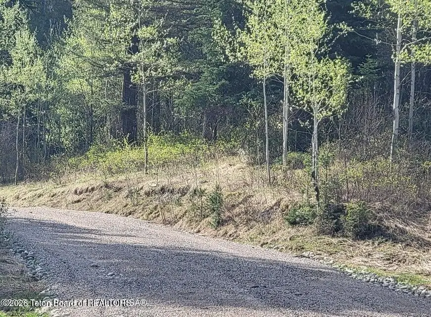 L39B4 Cutthroat Run, Irwin, ID 83428 - #3