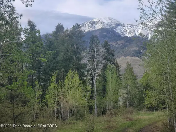 L31B4 Cutthroat Run, Irwin, ID 83428