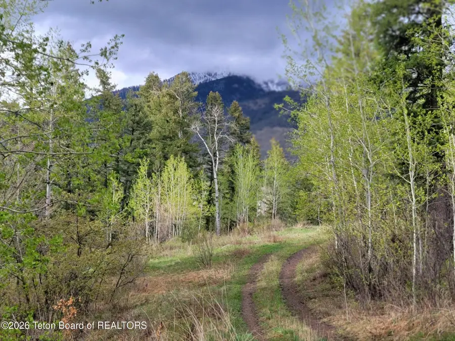 L31B4 Cutthroat Run, Irwin, ID 83428 - #2