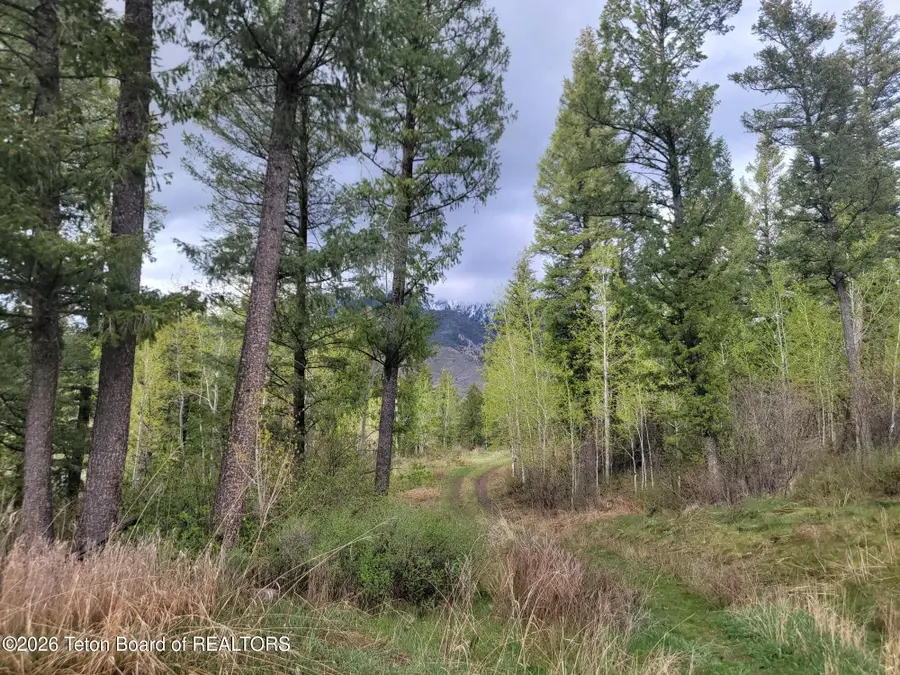 L31B4 Cutthroat Run, Irwin, ID 83428 - #3