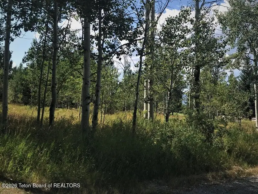 Plat 9 Lot 87 Green Canyon Dr, Star Valley Ranch, WY 83127 - Image #2