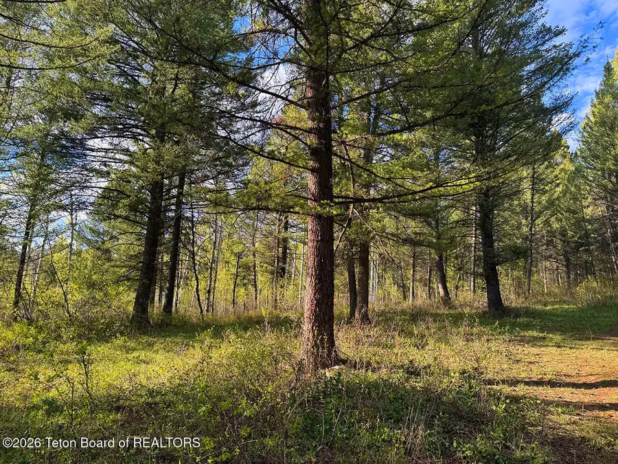 LOT 83 Oak Drive, Star Valley Ranch, WY 83127 - #2