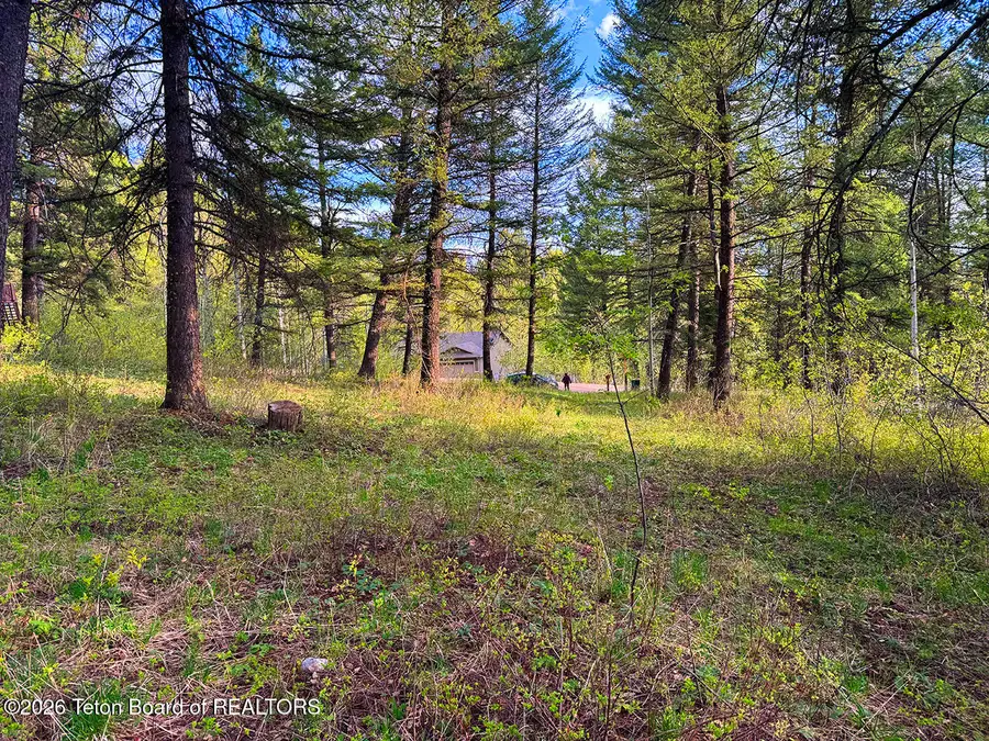 LOT 83 Oak Drive, Star Valley Ranch, WY 83127 - #3