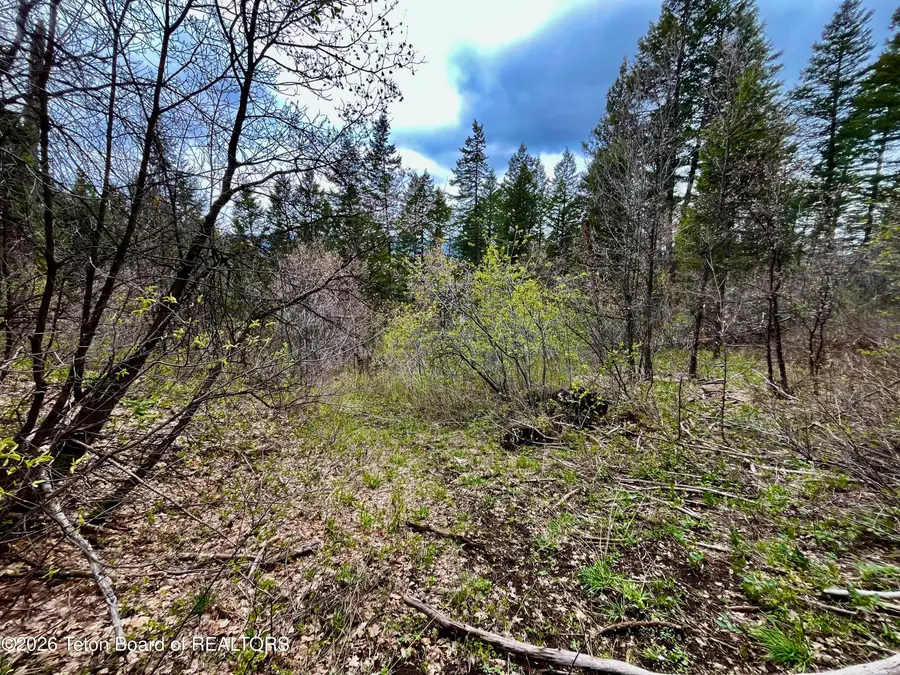 .88 ACRES Lone Star Road, Bedford, WY 83112 - #3