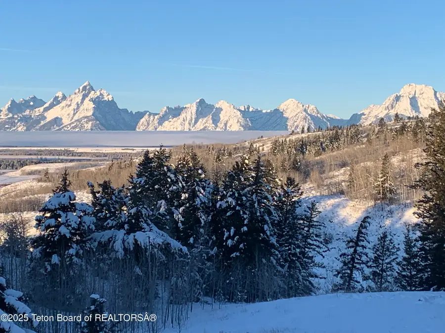 15180 E Teton Wilderness Drive, Moran, WY 83013 - #3