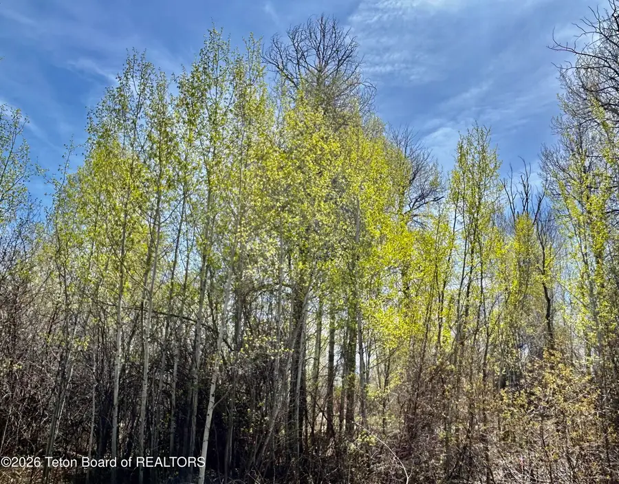 843 Woodland Way, Driggs, ID 83422 - #2