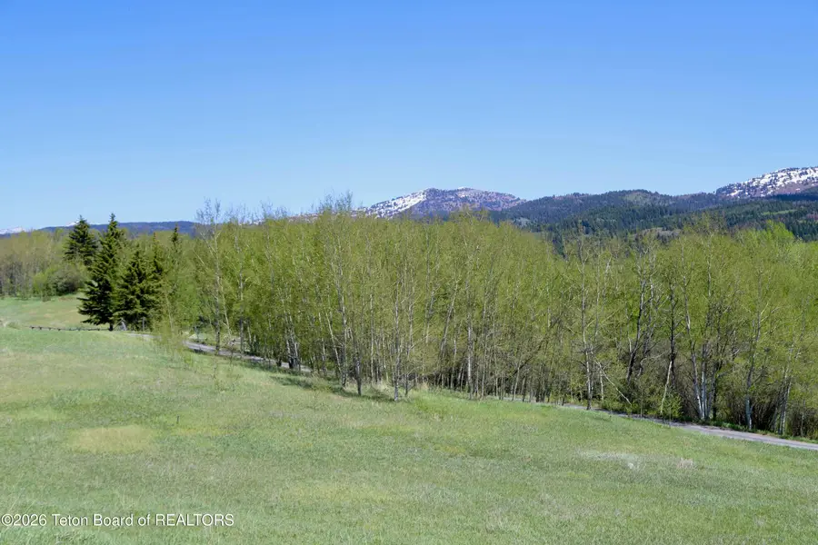 350 W Teton Hideaway Drive, Alta, WY 83414 - #3