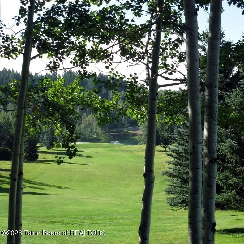 000 Svr Un 10 Drive, Star Valley Ranch, WY 83127 - #2