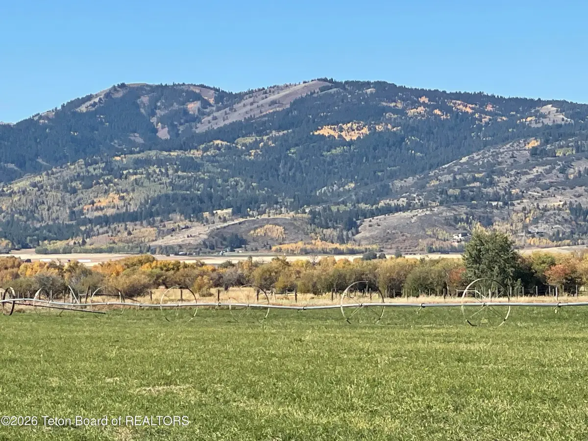 LOT 4 Wild Springs Lane, Victor, ID 83455 - #1