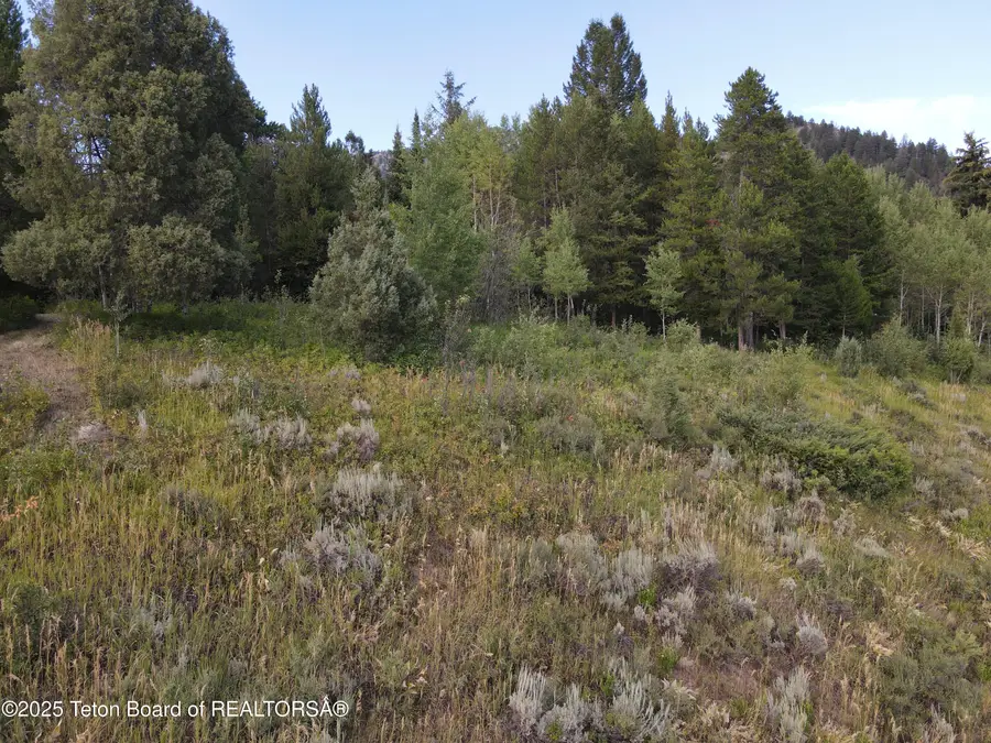 LOT 4 Pine Street, Alpine, WY 83128 - #2