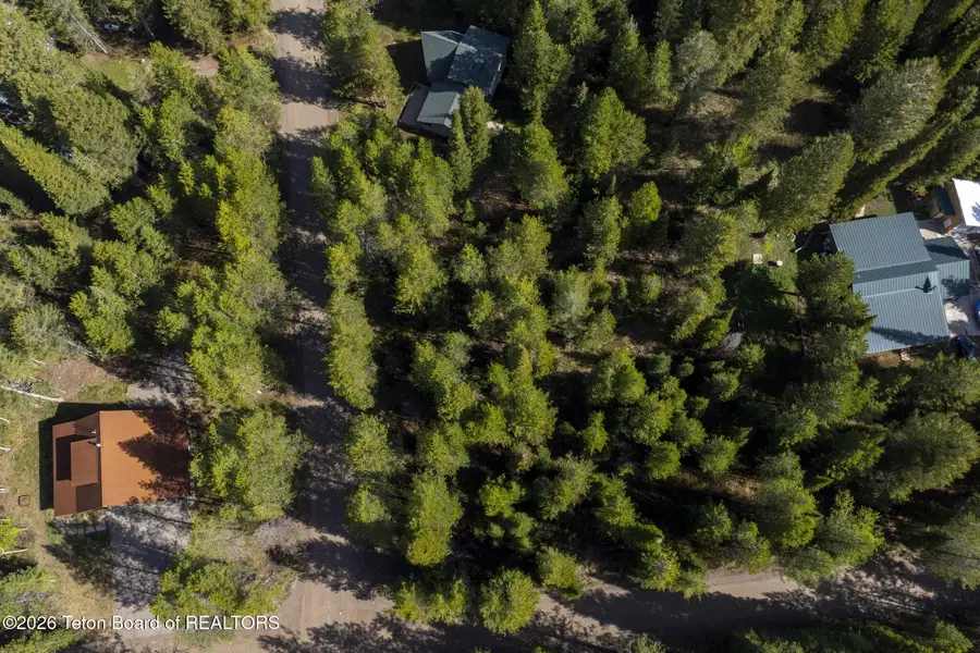 LOT 31 Pine Street, Alpine, WY 83128 - #3