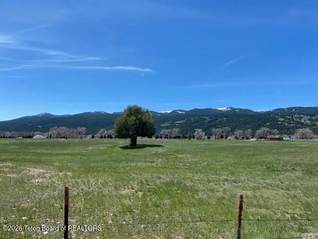 TBD Old Irwin Road, Irwin, ID 83428 - #2