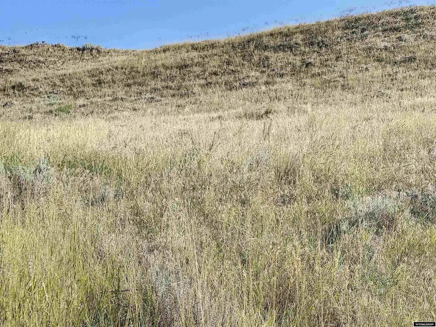 TBD Eagle Summit Lot Package, Buffalo, WY 82834 - #3