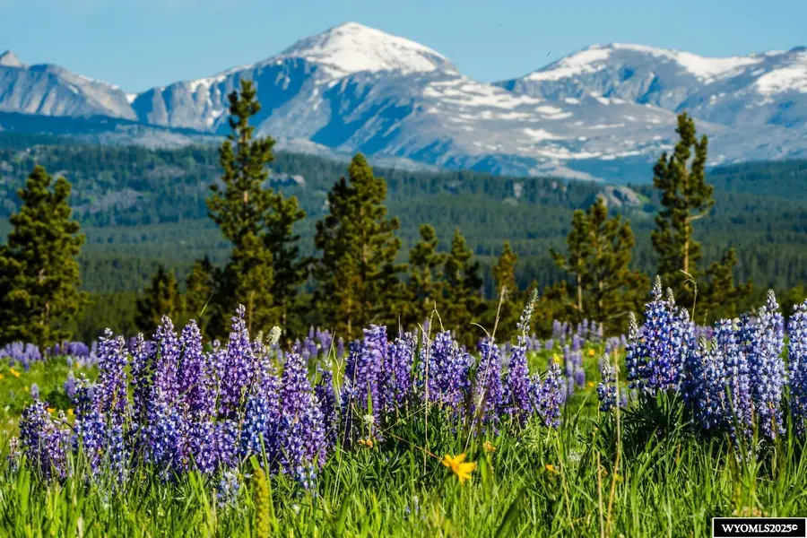 Muddy Guard MUDDY GUARD, Buffalo, WY 82834 - Image #2