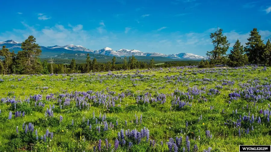 Muddy Guard MUDDY GUARD, Buffalo, WY 82834 - Image #3