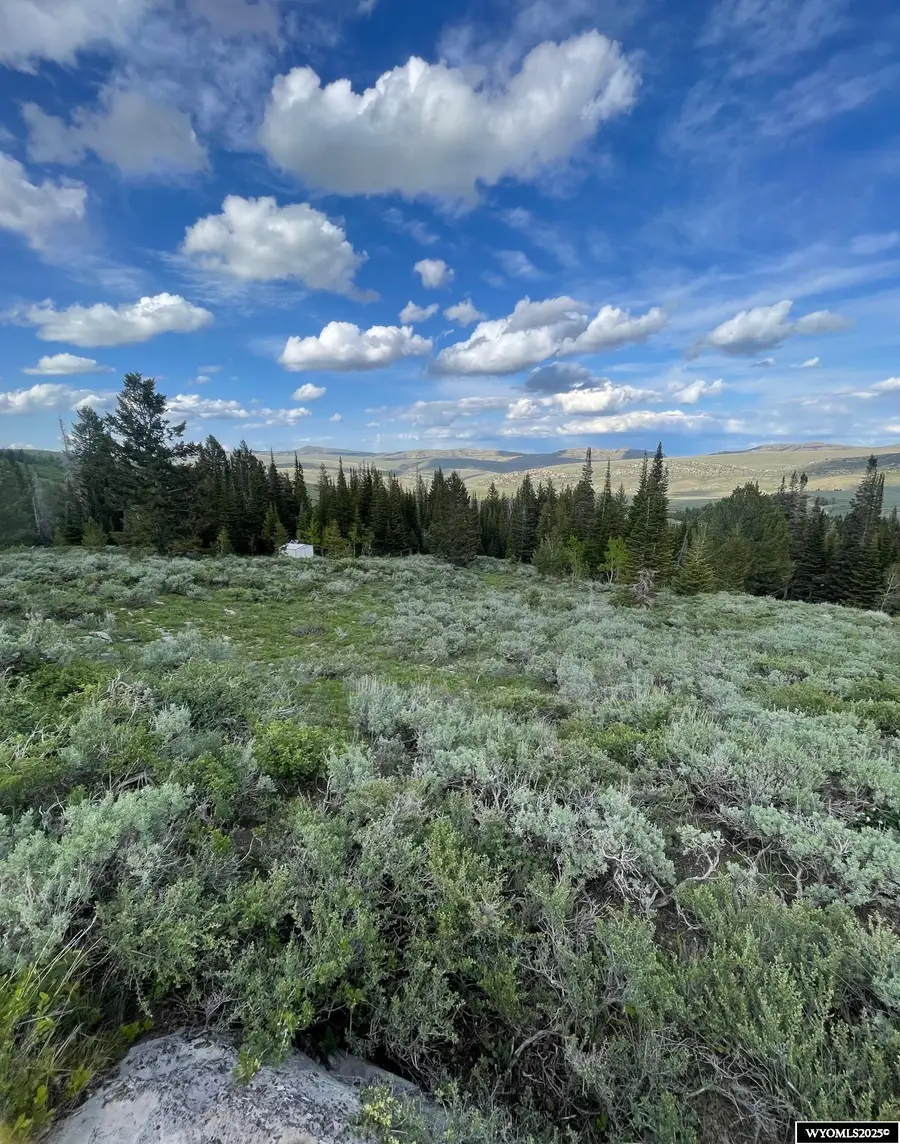 Brown Trout Drive, Kemmerer, WY 83101 - Image #2