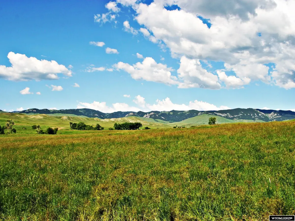 77 Sand Creek Ranch Road, Buffalo, WY 82834 - #1