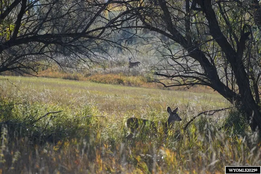 Lot 2 Heron Sedge Court, Sheridan, WY 82801 - Image #3