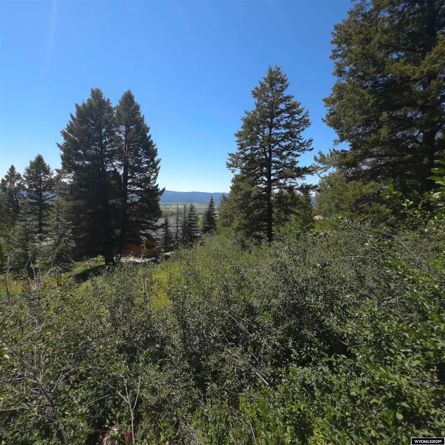 L 33 Spurwood Drive, Star Valley Ranch, WY 83127 - Image #3