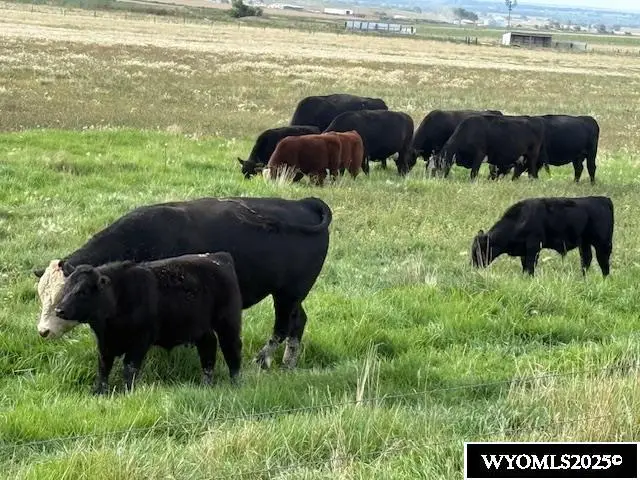 90462 S Morrill Road, Morrill, NE 69358 - Image #3