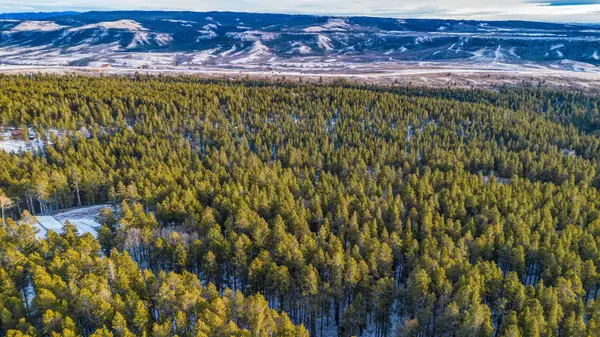 299 W Cliff Road, Casper, WY 82601