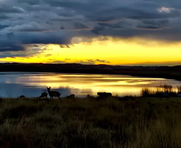 Lot 68 Shoreline Drive, Buffalo, WY 82834