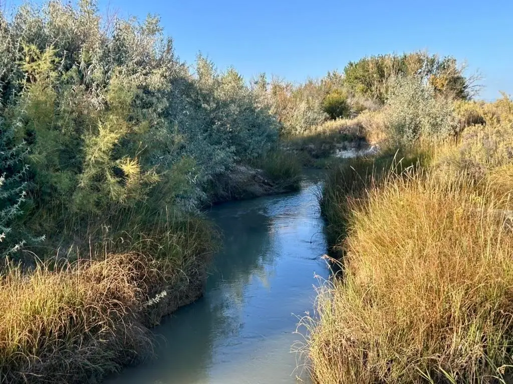 TBD Hwy 32, Emblem, WY 82422 - #1