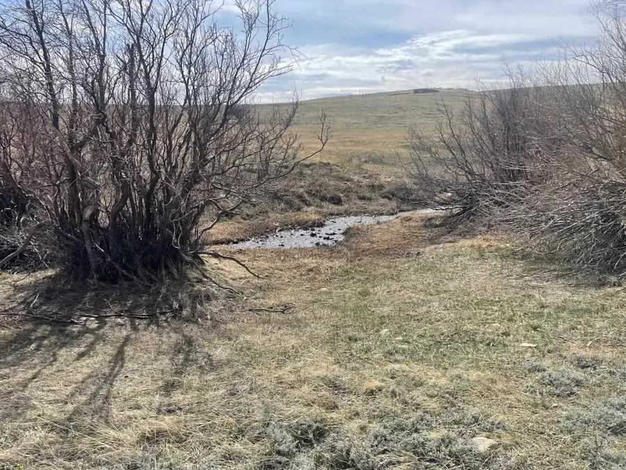 Lot 4 Blk 8 Aspen Meadows, Elk Mountain, WY 82324 - #2