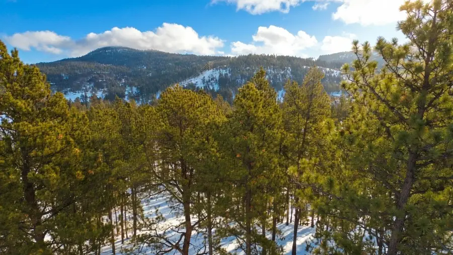 7 Wilderness Trail, Newcastle, WY 82701 - #2