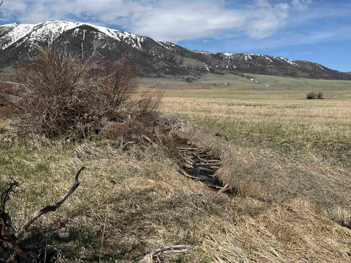 21 & 22 Block 8, Aspen Meadows, Elk Mountain, WY 82324 - #1