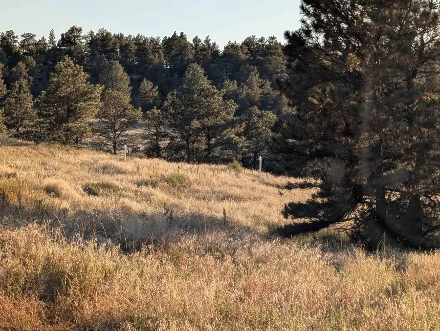 Lot 149 Coyote Trail, Fort Laramie, WY 82212 - #3