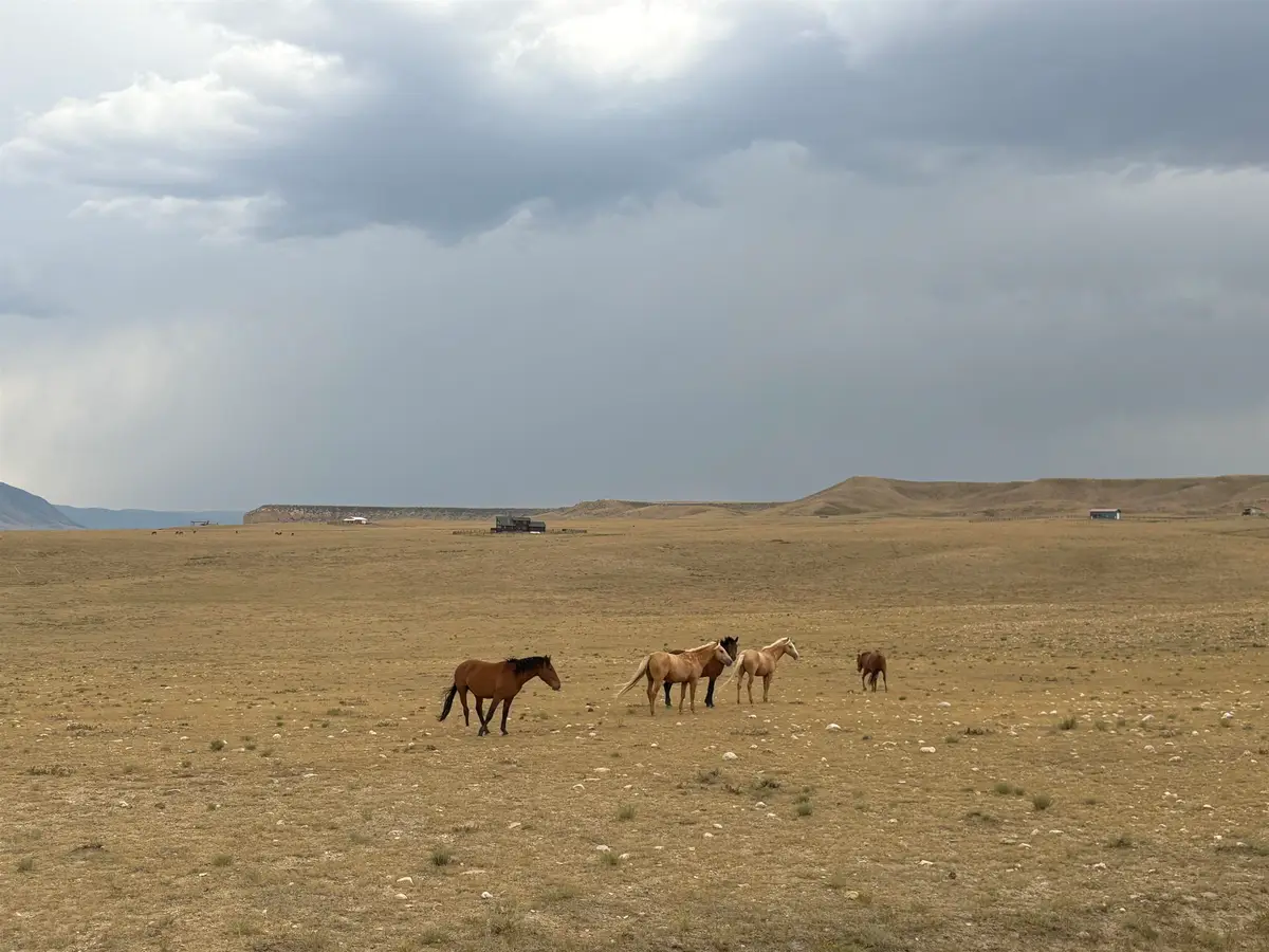 Tract 305 BIG HORN DR, Laramie, WY 82070 - #1