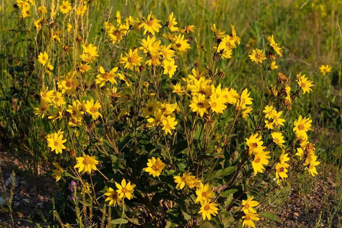 Tract 353 South Rd, Cheyenne, WY 82009 - #1