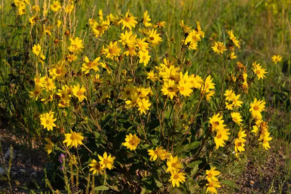 Tract 353 South Rd, Cheyenne, WY 82009