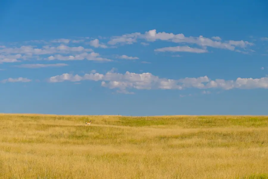 Tract 233 Pennsylvania Rd, Cheyenne, WY 82009 - #3