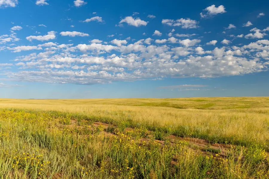 Tract 334 Bering Rd, Cheyenne, WY 82009 - #3