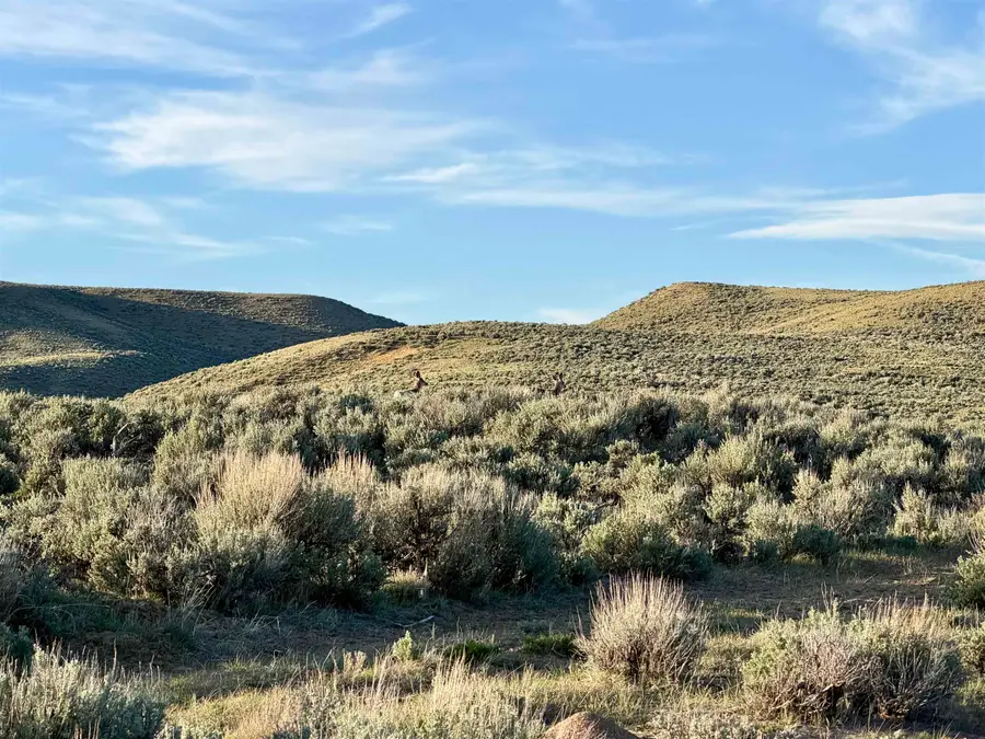 Lot 5 Viewpoint Minor, Dixon, WY 82323 - #2