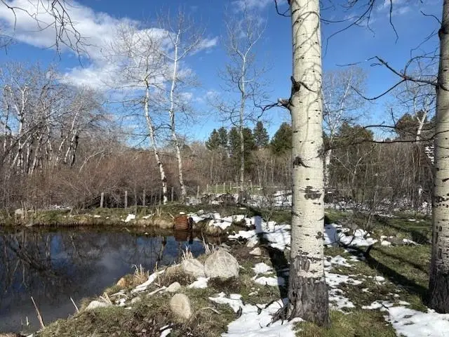 8 Buck Trail, Story, WY 82832 - #2