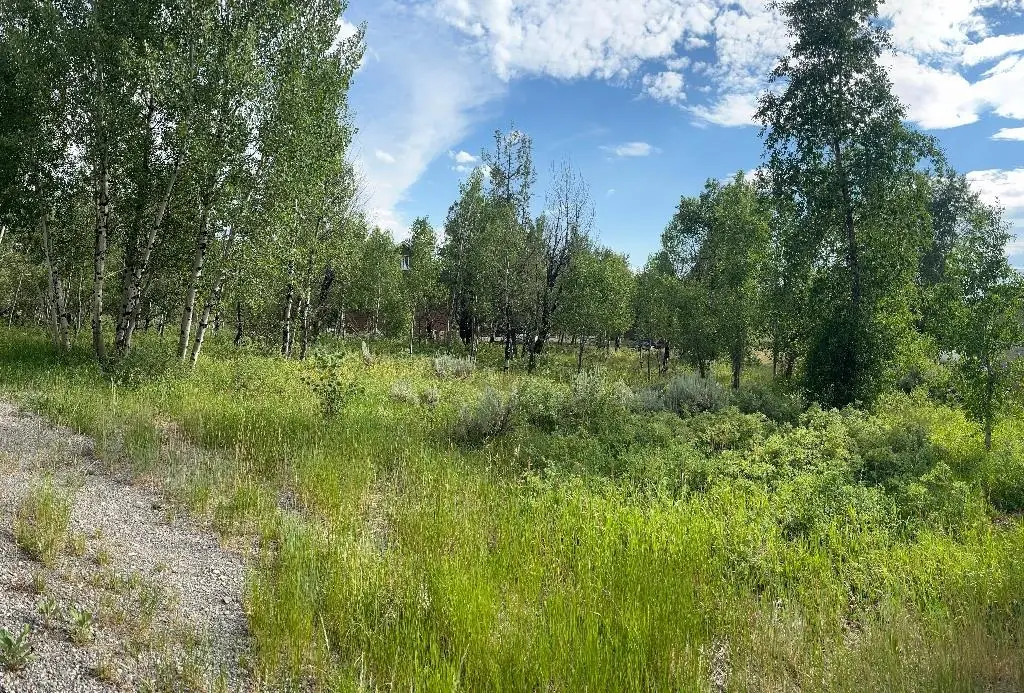 176 Creek Circle, Star Valley Ranch, WY 83127 - #1