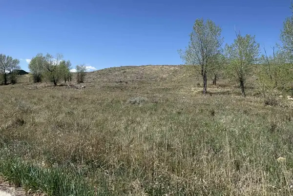 110 Watkins Street, Buffalo, WY 82834-0000