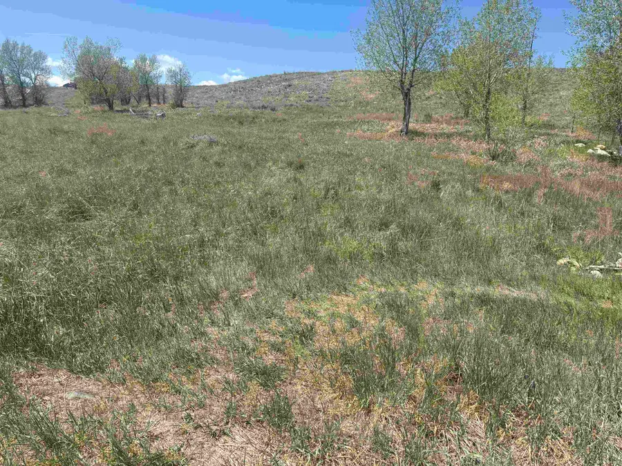110 Watkins Street, Buffalo, WY 82834-0000 - #2