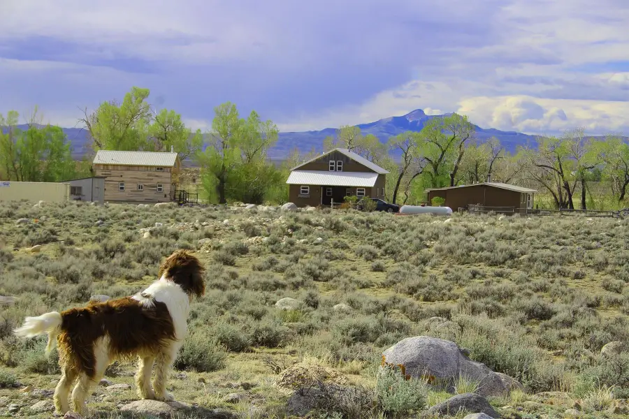 52 Road 8UC, Clark, WY 82435 - #2