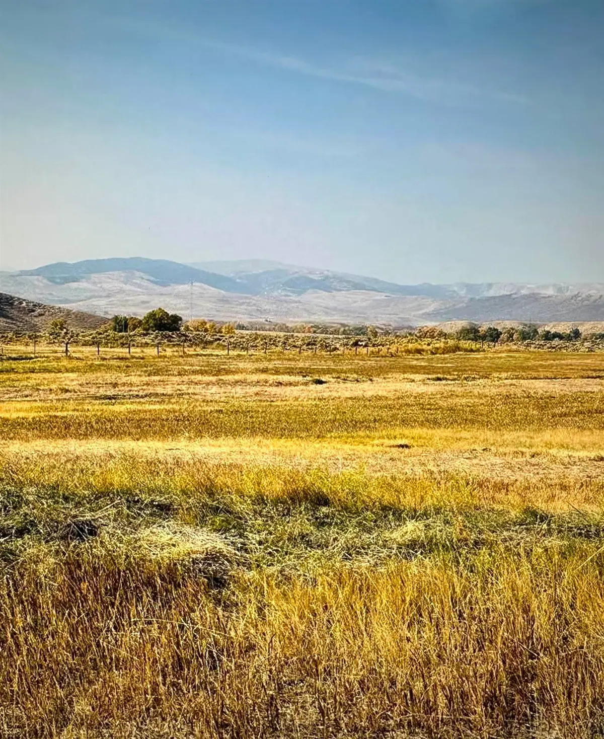 000 Burris Road, Crowheart, WY 82512 - #1