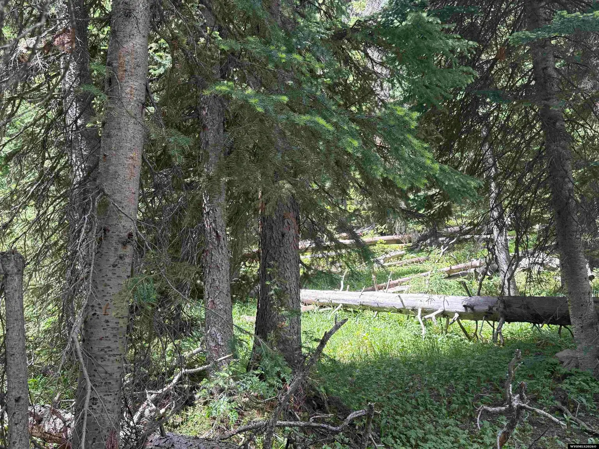 Tract 45 Overlook Retreat, Elk Mountain, WY 82324 - #1