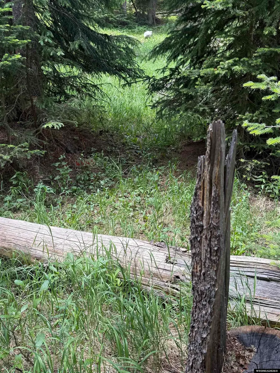 Tract 45 Overlook Retreat, Elk Mountain, WY 82324 - #3