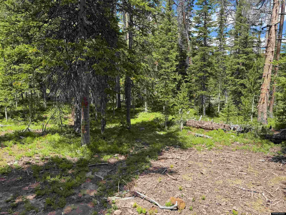 Tract 27 Overlook Retreat, Elk Mountain, WY 82324 - #1